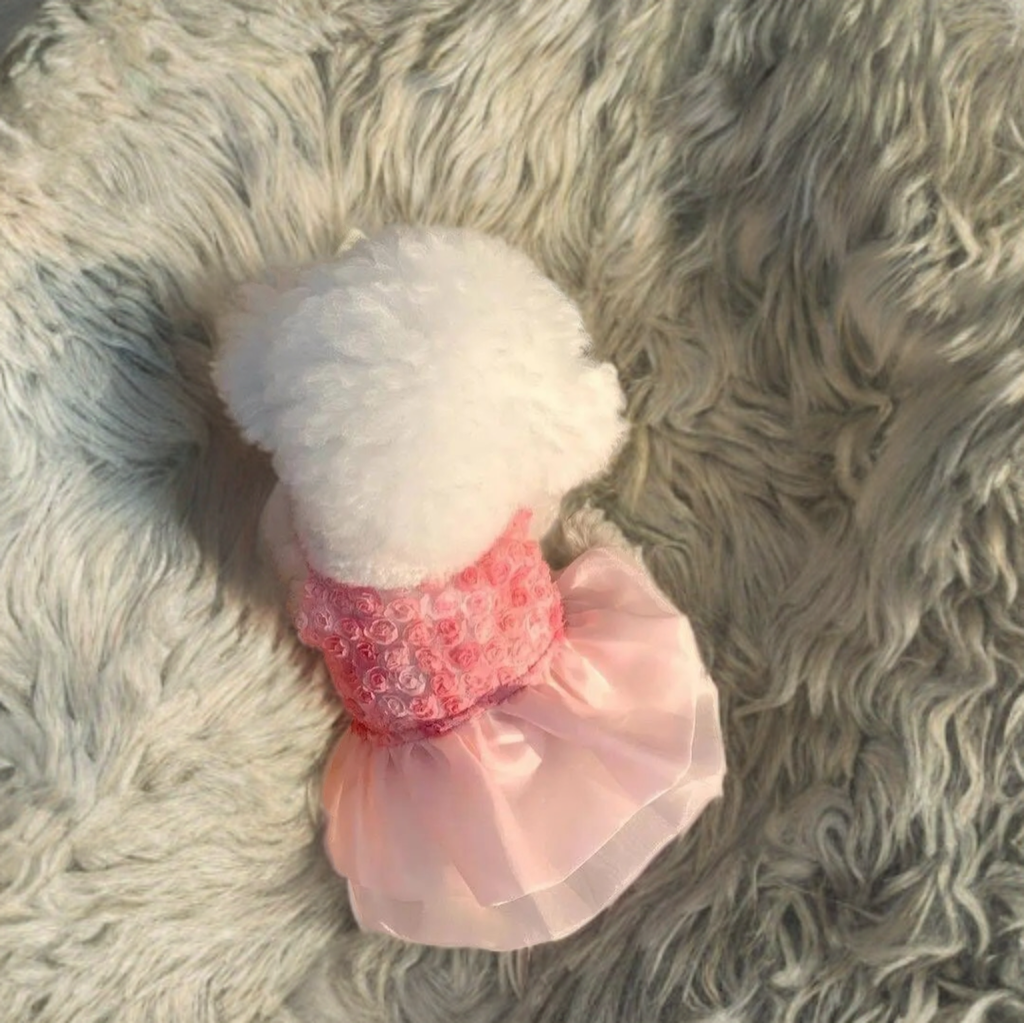 Blossom Rose Pet Dress